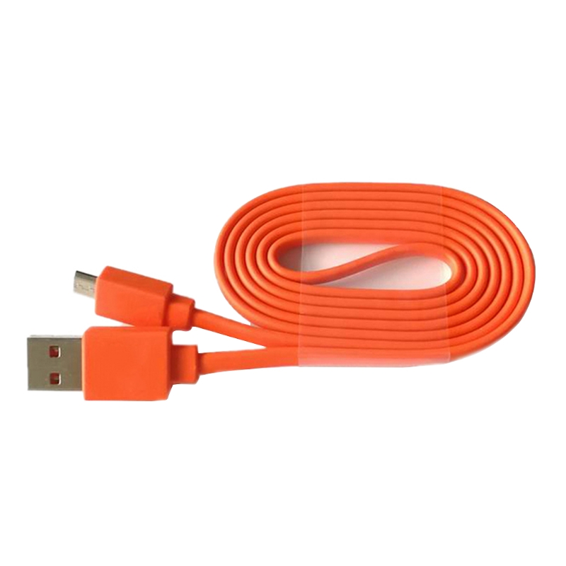 Cable de carga de alimentación - Jbl Speaker Go 4 reseña y precio